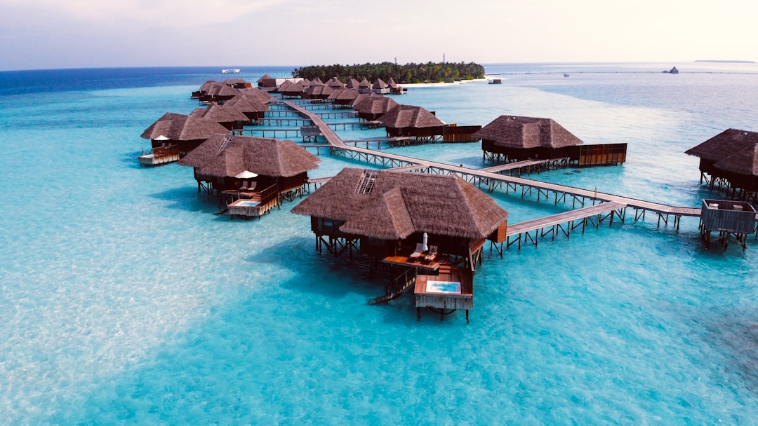 Tropical waterside accommodation. Replace with assets/accommodation-bungalow.webp.